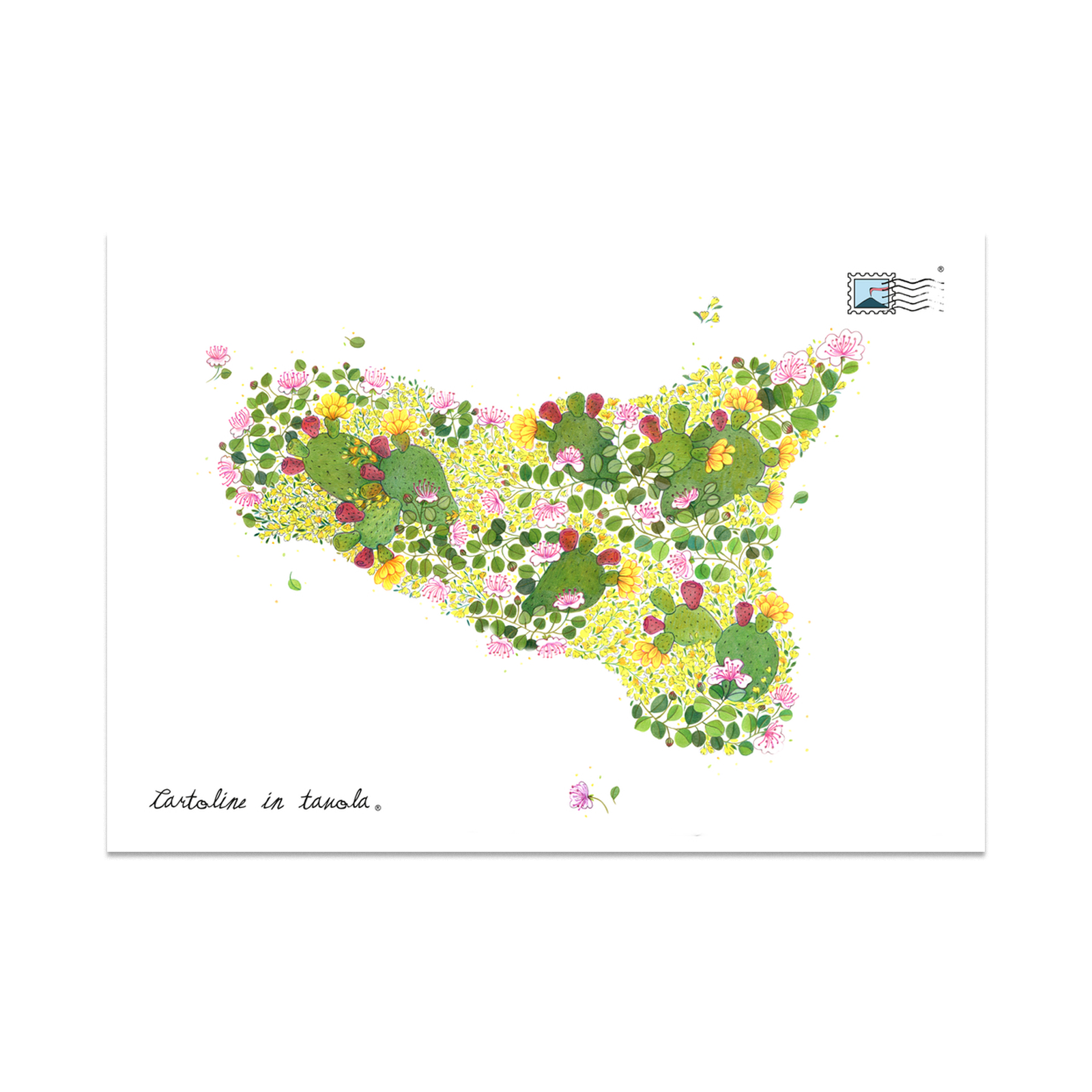 Canovaccio – Sicilia Ginestre